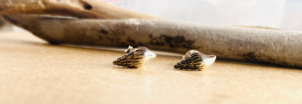 seashell stud earrings